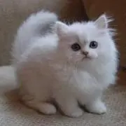 YuKiの画像