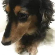 HiRo Sp