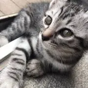 みき