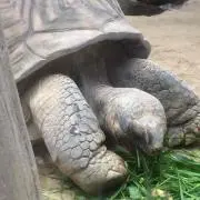 ちぃ☆プロフ確認お願いしますの画像