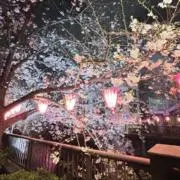 ゆきんこ