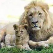未来の画像