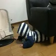 T子☆プロフ必読☆