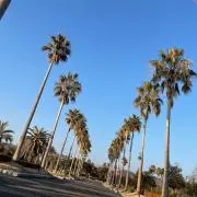 ブランド好きの画像