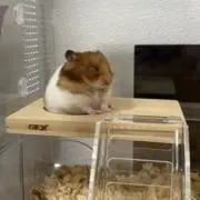 mの画像
