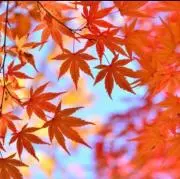 あき