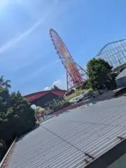 しーの画像