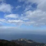 どんぐりの画像