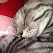 ゆら  セール中❤︎プロフィール必須。