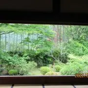 ひまわり