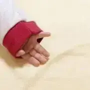 すずひなの画像