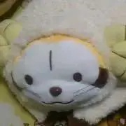 らすかる※プロフ必読