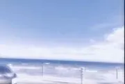 ちゃの画像