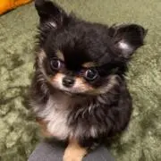 きなこバター【プロフ必読】の画像