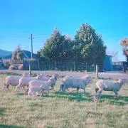 maist☺︎＊プロフ必読＊の画像