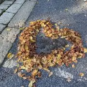 ぽの画像