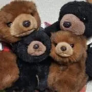 チャコ○プロフ確認してね○まとめ買い歓迎の画像