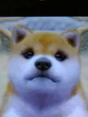 mashi tankの画像
