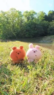 塩むすびの画像