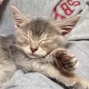 コウちゃん