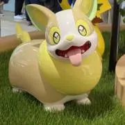イトウの画像