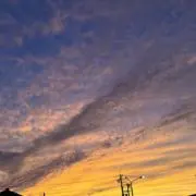 リグレットの画像