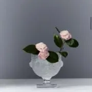 みの画像