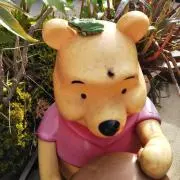 けみをの画像