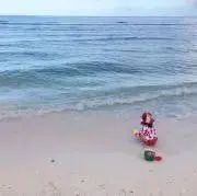 sumireoの画像