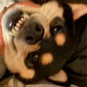くる