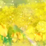 Chanリリー◡̈♥︎の画像
