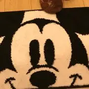 しとかなの画像