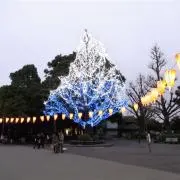 m紫龍m
