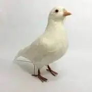 鳩ぽっぽ※代理購入業者は取引キャンセルの画像