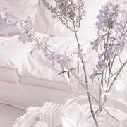ばなな プロフ一読お願いしますの画像