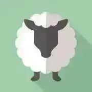 B0の画像