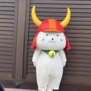もりちゃんの画像