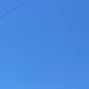 り