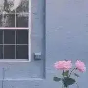 まとめ依頼ではなくコメント下さいの画像