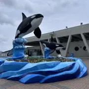 pon.pon.の画像