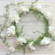 ❀Natural❀の画像