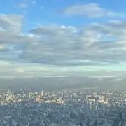 マンチーニの画像