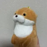 Nuの画像
