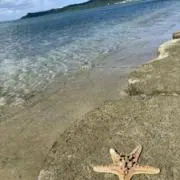sozksozの画像