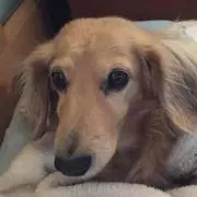 もずくの画像