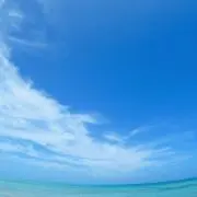 さーの画像