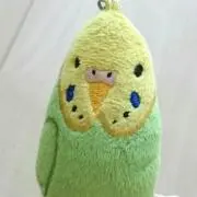 ゆきゆきの画像