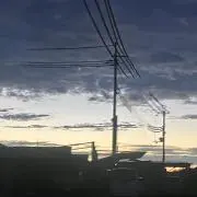ゆきの画像