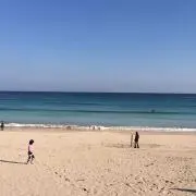 まゆみん(^-^)の画像