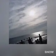 まゆの画像